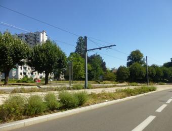 Plateforme végétalisée du tramway du Grand Besançon Métropole labellisée en 2020 © Urban&Sens 2020