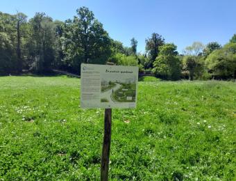 Panneau pédagogique sur la prairie spontanée