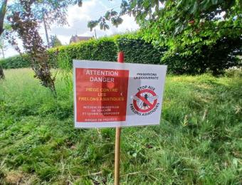 Lutte contre les frelons asiatiques et communication.