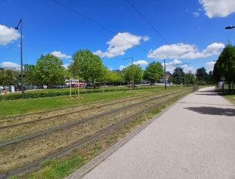 La gestion écologique des voies du Tram