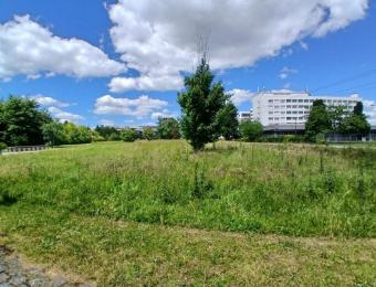 De vastes prairies naturelles