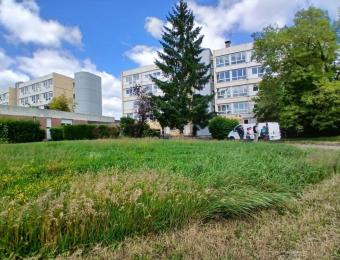 Cité Beaune - gestion extensive des abords de bâtiments
