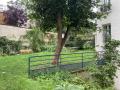 Vue du jardin depuis l'entrée