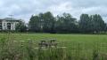 Espace de pelouse rase bordé par une prairie de fauche