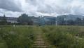 Cheminement dans prairie fleurie