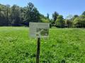Panneau pédagogique sur la prairie spontanée