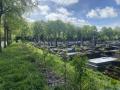 Division du cimetière avec au premier plan une pelouse à orchidées et une haie diversifiée plantée