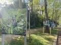 Exposition de photographies sur la biodiversité du cimetière