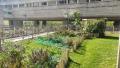 Massifs plantés et clôture végétalisée