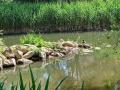 Biodiversité au jardin