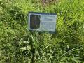 Orchidée bouc signalée par un panneau