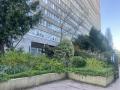 Massifs arbustifs du jardin Dalle d'Ivry