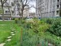 Massifs arbustifs dans le jardin Maudy Piot-Jacomet