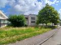 Gestion extensive des abords de bâtiments.