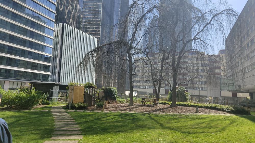 Vue d'ensemble du jardin, côté entrée principale