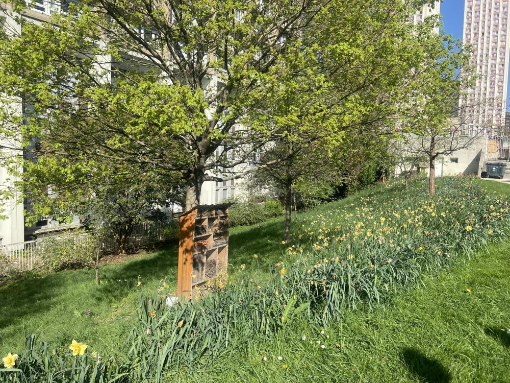Hôtel à insectes et talus géré en prairie sur le square Ulysse Trélat