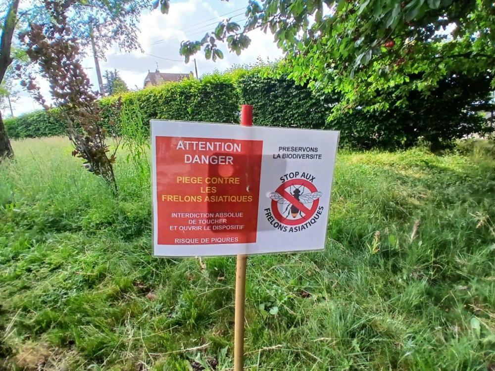 Lutte contre les frelons asiatiques et communication.