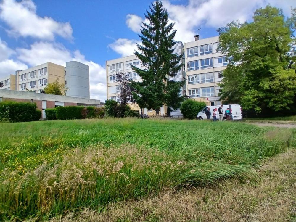 Cité Beaune - gestion extensive des abords de bâtiments