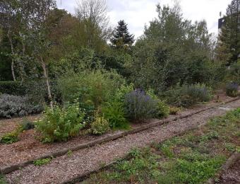 Jardin des Plantes à Orléans labellisé en 2020 © Arp-Astrance 2020