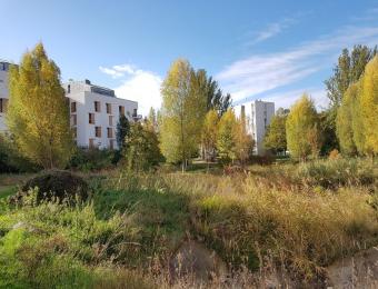 Prairie Moulin Joly à Colombes renouvelé en 2020 © Arp-Astrance 2020