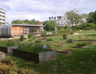 Zone de potager devant la Maison de l'Environnement