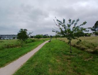 Prairie de fauche bordée de fruitiers