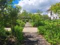 Jardin de curé