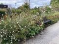 Promenade et banc