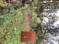 Des espaces en sous-bois