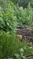 Zoom sur le jardin potager venant d'être replanté