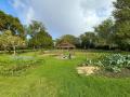 Le potager 