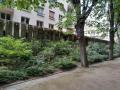 Jardin Alleray-Procession