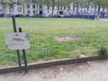 Pelouse fermé au public pour repos hivernal sur l'avenue de Breteuil