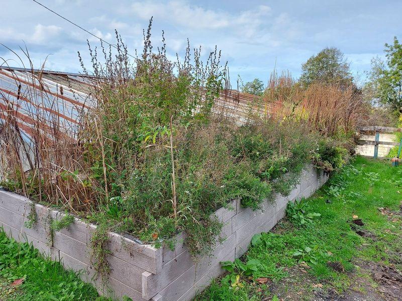 LES JARDINS DE PLUIE