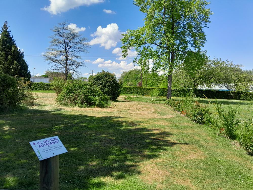 Fauche différenciée accompagnée par un panneau pédagogique et sur la droite, une haie champêtre plantée avec les élèves