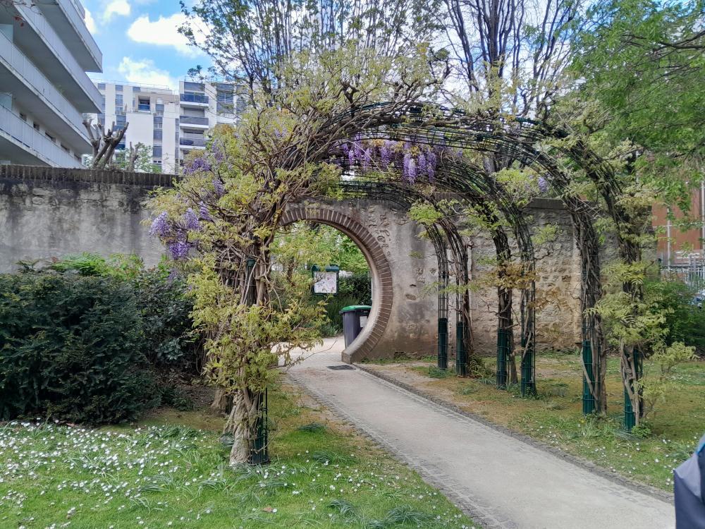Arche de grimpantes sur la square d'Alleray-Labrouste-Saint-Amand