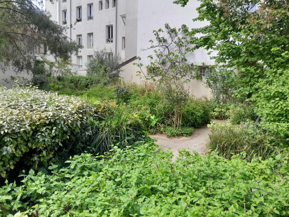 Massifs denses et végétation spontanée créant un refuge pour la petite faune dans le jardin Paul-Nizan
