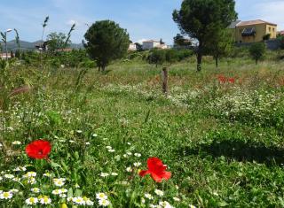 Parc Athéna Marseille