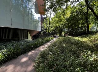 Jardin du musée du Quai Branly – Jacques Chirac. ©ARP Astrance