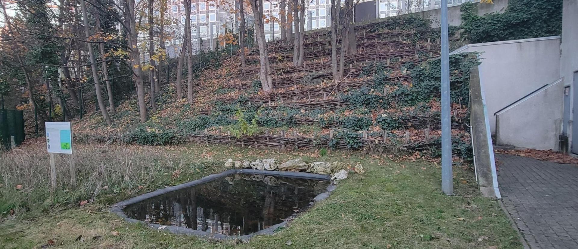 Vue du jardin
