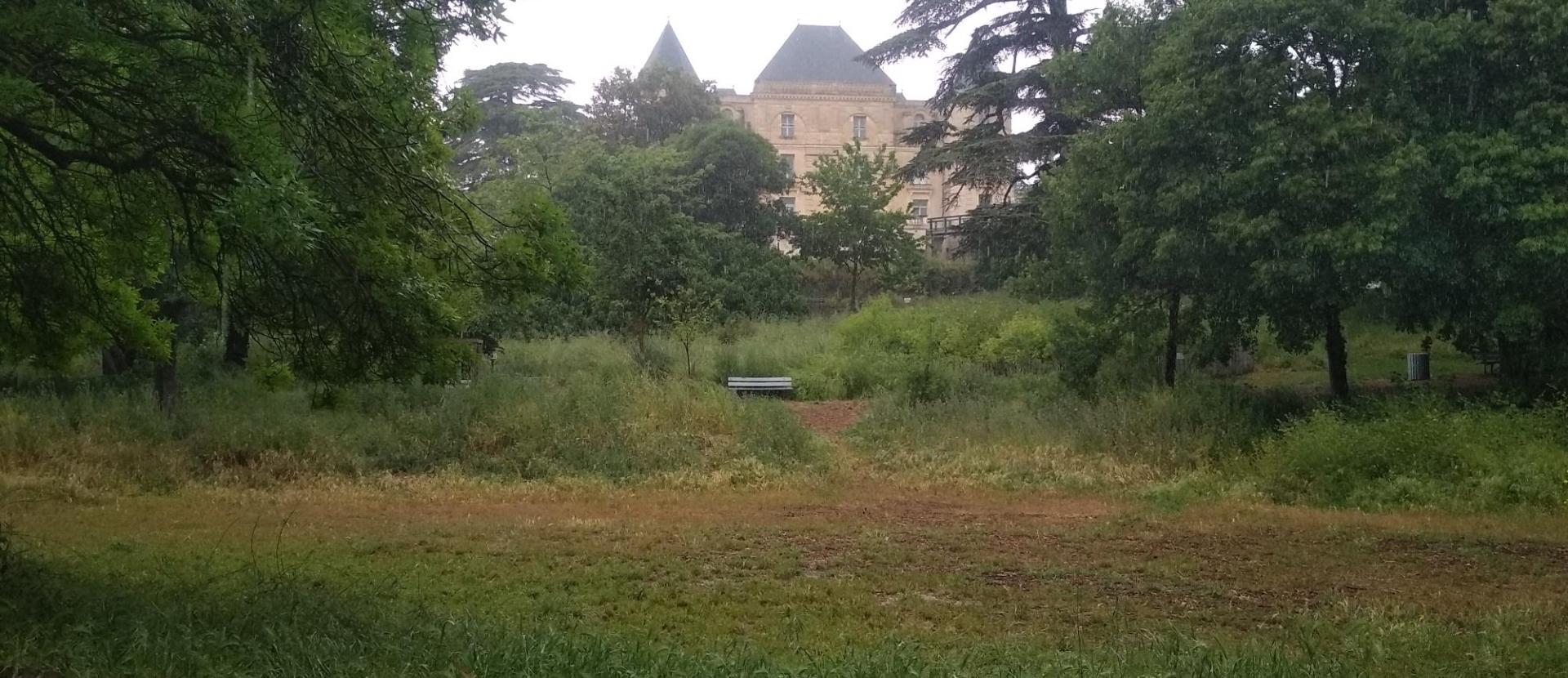 Vue du chateau depuis le parc