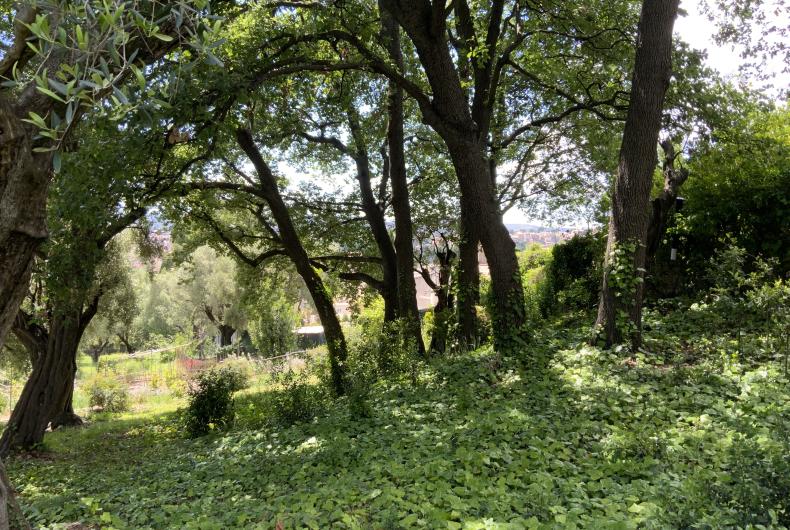 Domaine des collette musée Renoir_Cagnes-sur-mer_GIROD 2024 1.JPG