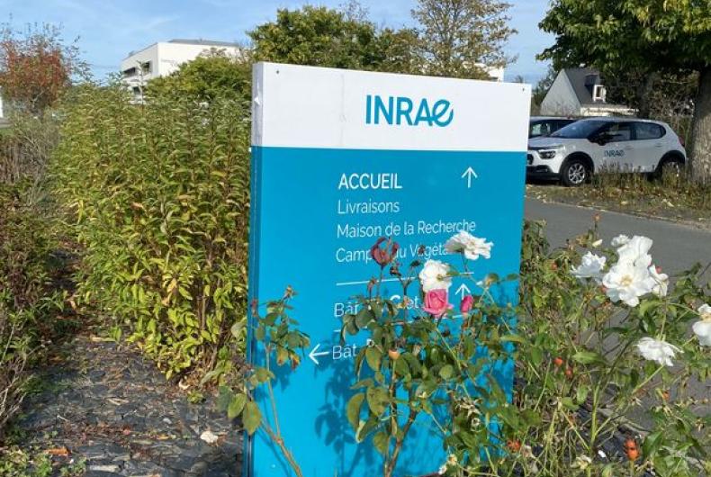 INRAE_Beaucouze©Arp-Astrance_2022 (1).JPG