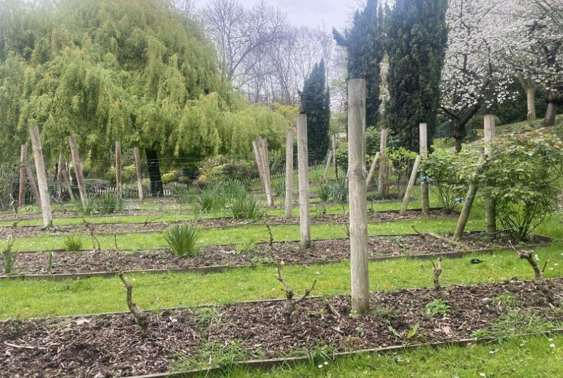 Jardin_Botanique_GPSO©Arp-Astrance_2023 (1).JPG