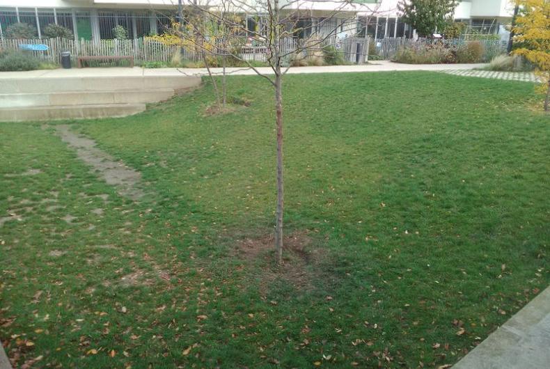 Skatepark_Jardin_Fauvelle-Courbevoie©Gondwana_2016 (5).jpg