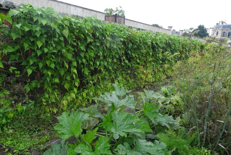 potager du roi