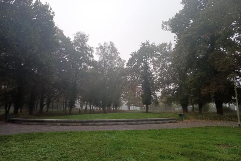 Vue générale du site