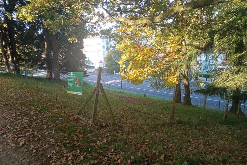 Périmètre d'éco-paturage