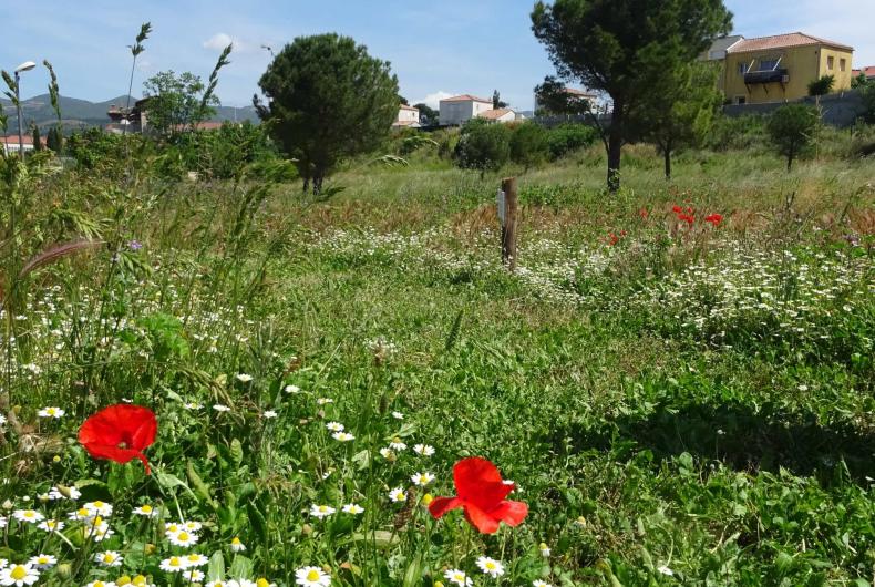 Parc Athéna Marseille
