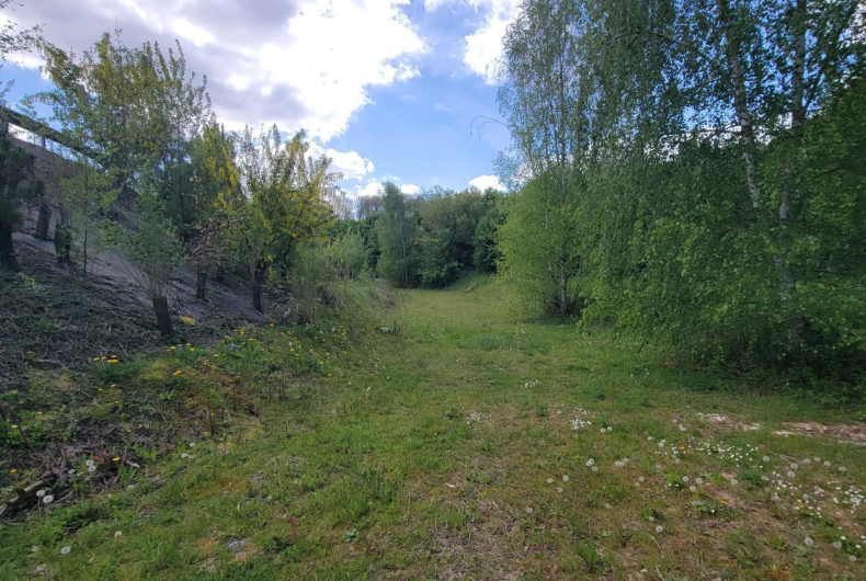 Prairie présente sur le site